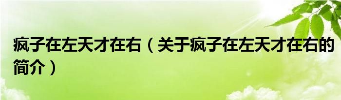 瘋子在左天才在右（關(guān)于瘋子在左天才在右的簡(jiǎn)介）