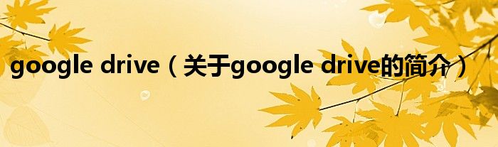 google drive（關于google drive的簡介）