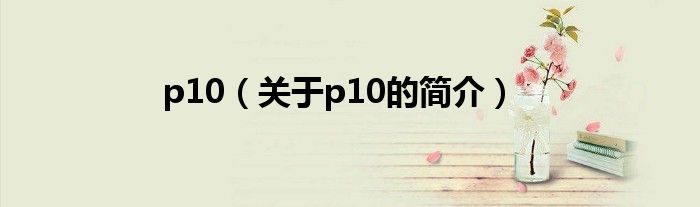 p10（關于p10的簡介）