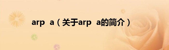 arp  a（關(guān)于arp  a的簡(jiǎn)介）