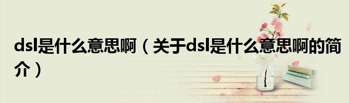 dsl是什么意思?。P(guān)于dsl是什么意思啊的簡(jiǎn)介）