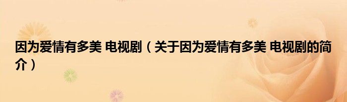 因?yàn)閻?ài)情有多美 電視?。P(guān)于因?yàn)閻?ài)情有多美 電視劇的簡(jiǎn)介）