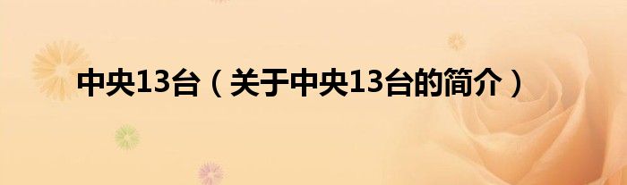 中央13臺（關(guān)于中央13臺的簡介）