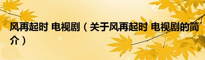 風再起時 電視劇（關于風再起時 電視劇的簡介）