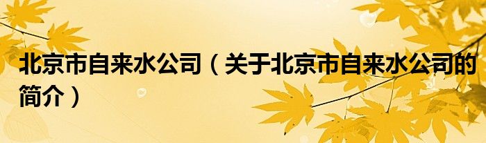 北京市自來水公司（關(guān)于北京市自來水公司的簡介）