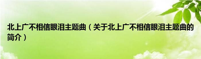 北上廣不相信眼淚主題曲（關(guān)于北上廣不相信眼淚主題曲的簡介）