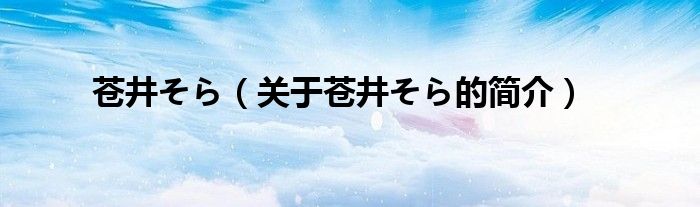 蒼井そら（關于蒼井そら的簡介）