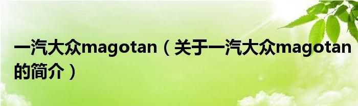 一汽大眾magotan（關(guān)于一汽大眾magotan的簡介）