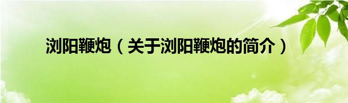 瀏陽鞭炮（關(guān)于瀏陽鞭炮的簡(jiǎn)介）