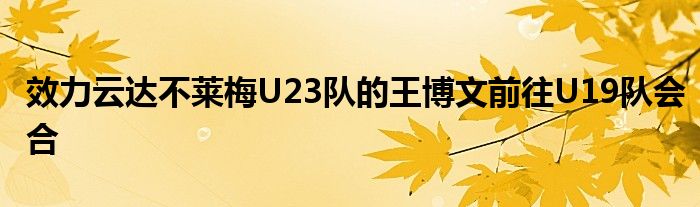 效力云達(dá)不萊梅U23隊(duì)的王博文前往U19隊(duì)會(huì)合