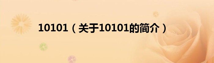 10101（關(guān)于10101的簡(jiǎn)介）