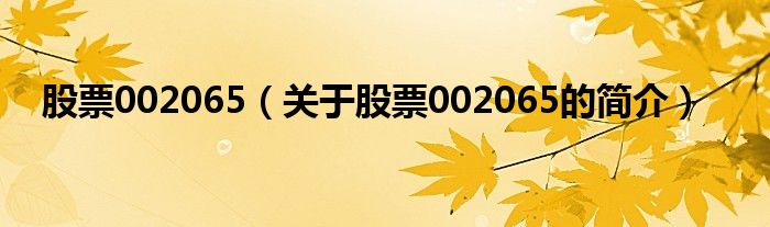 股票002065（關(guān)于股票002065的簡(jiǎn)介）