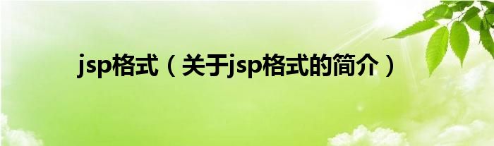 jsp格式（關(guān)于jsp格式的簡介）