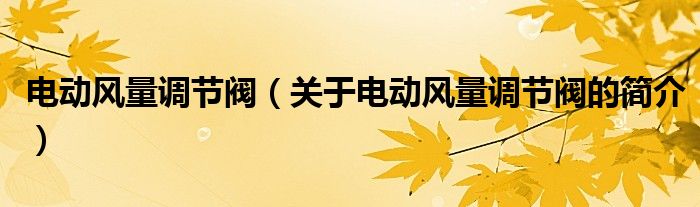 電動風量調節(jié)閥（關于電動風量調節(jié)閥的簡介）