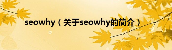 seowhy（關(guān)于seowhy的簡(jiǎn)介）