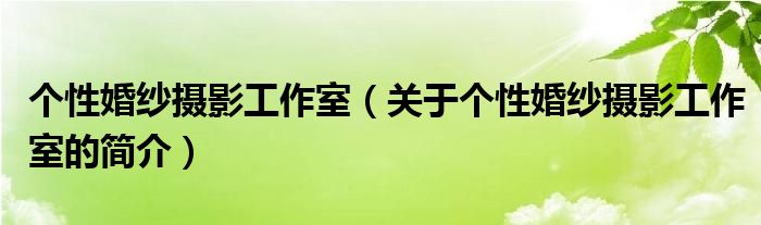 個性婚紗攝影工作室（關(guān)于個性婚紗攝影工作室的簡介）