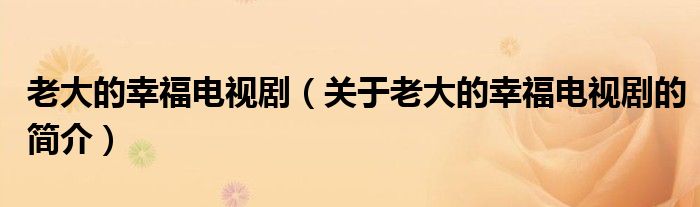 老大的幸福電視?。P(guān)于老大的幸福電視劇的簡介）