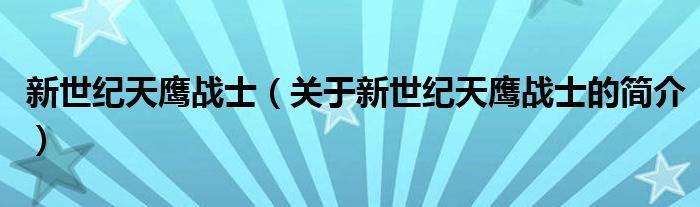 新世紀(jì)天鷹戰(zhàn)士（關(guān)于新世紀(jì)天鷹戰(zhàn)士的簡介）