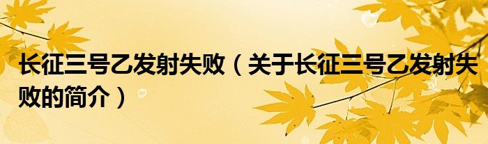 長征三號乙發(fā)射失敗（關于長征三號乙發(fā)射失敗的簡介）