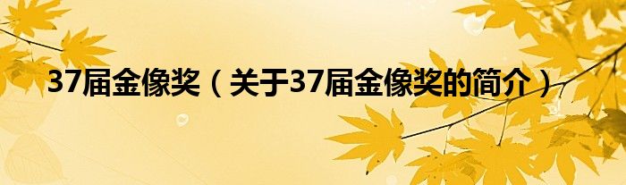 37屆金像獎（關于37屆金像獎的簡介）