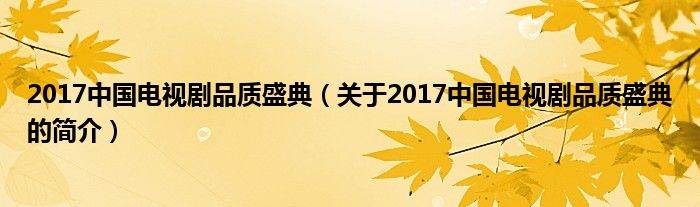 2017中國電視劇品質盛典（關于2017中國電視劇品質盛典的簡介）