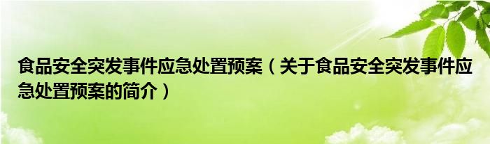 食品安全突發(fā)事件應(yīng)急處置預(yù)案（關(guān)于食品安全突發(fā)事件應(yīng)急處置預(yù)案的簡介）