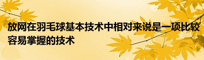 放網(wǎng)在羽毛球基本技術(shù)中相對(duì)來說是一項(xiàng)比較容易掌握的技術(shù)