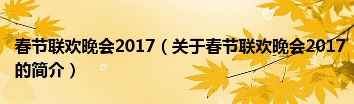 春節(jié)聯(lián)歡晚會2017（關于春節(jié)聯(lián)歡晚會2017的簡介）