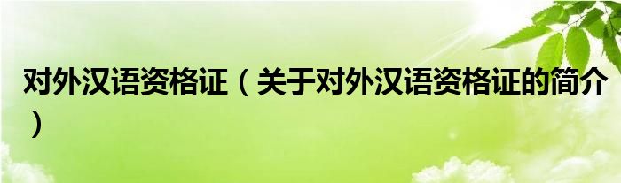 對外漢語資格證（關于對外漢語資格證的簡介）