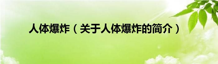 人體爆炸（關(guān)于人體爆炸的簡(jiǎn)介）