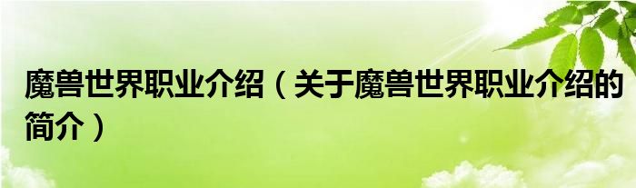 魔獸世界職業(yè)介紹（關(guān)于魔獸世界職業(yè)介紹的簡介）