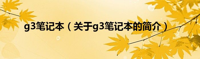 g3筆記本（關(guān)于g3筆記本的簡介）