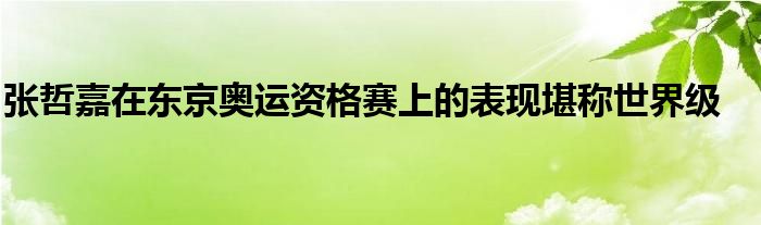 張哲嘉在東京奧運(yùn)資格賽上的表現(xiàn)堪稱世界級(jí)