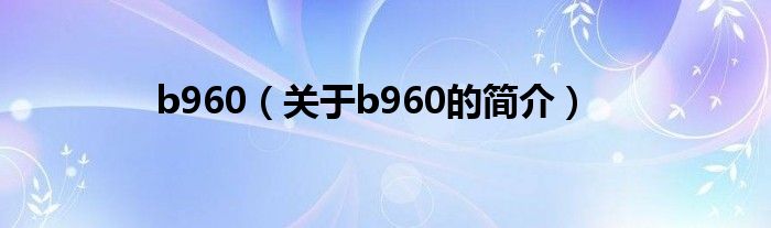 b960（關(guān)于b960的簡(jiǎn)介）