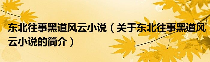 東北往事黑道風(fēng)云小說（關(guān)于東北往事黑道風(fēng)云小說的簡介）