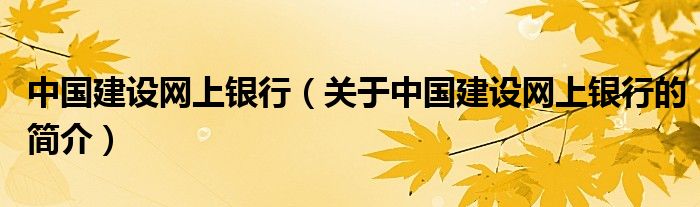 中國(guó)建設(shè)網(wǎng)上銀行（關(guān)于中國(guó)建設(shè)網(wǎng)上銀行的簡(jiǎn)介）