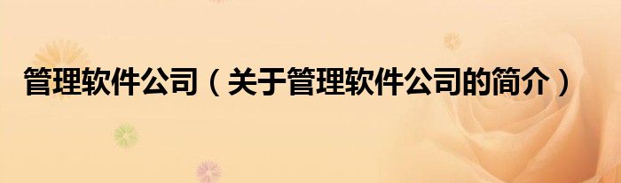 管理軟件公司（關(guān)于管理軟件公司的簡(jiǎn)介）