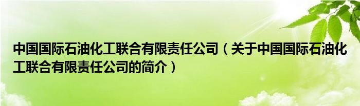 中國國際石油化工聯(lián)合有限責任公司（關于中國國際石油化工聯(lián)合有限責任公司的簡介）