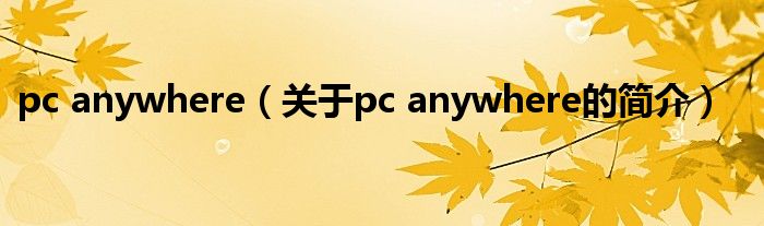 pc anywhere（關(guān)于pc anywhere的簡(jiǎn)介）