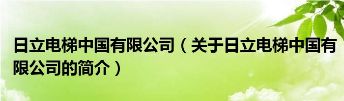 日立電梯中國(guó)有限公司（關(guān)于日立電梯中國(guó)有限公司的簡(jiǎn)介）