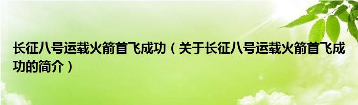 長征八號運載火箭首飛成功（關(guān)于長征八號運載火箭首飛成功的簡介）