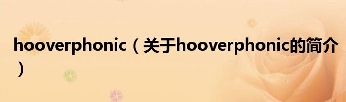 hooverphonic（關(guān)于hooverphonic的簡(jiǎn)介）