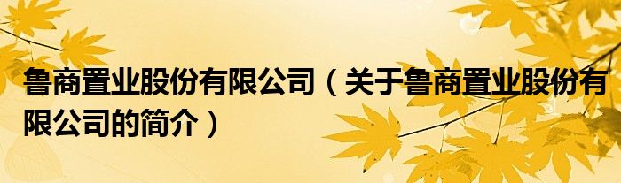 魯商置業(yè)股份有限公司（關于魯商置業(yè)股份有限公司的簡介）