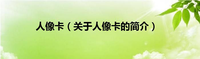 人像卡（關(guān)于人像卡的簡(jiǎn)介）