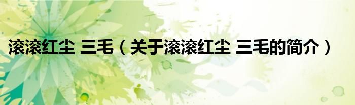 滾滾紅塵 三毛（關(guān)于滾滾紅塵 三毛的簡(jiǎn)介）