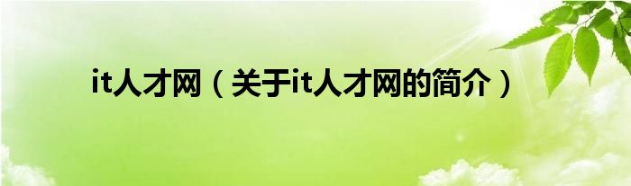 it人才網(wǎng)（關于it人才網(wǎng)的簡介）