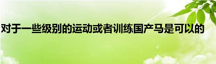 對(duì)于一些級(jí)別的運(yùn)動(dòng)或者訓(xùn)練國產(chǎn)馬是可以的