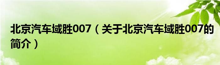 北京汽車域勝007（關于北京汽車域勝007的簡介）