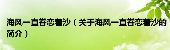 海風(fēng)一直眷戀著沙（關(guān)于海風(fēng)一直眷戀著沙的簡介）