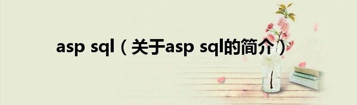 asp sql（關(guān)于asp sql的簡介）